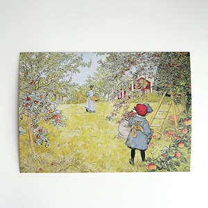 カール・ラーション　ポストカード　3　Apfelernte