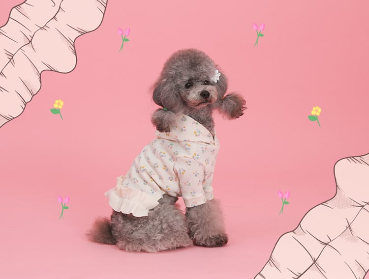 SALE】 lily hood onepiece S ~ XL / 犬服 春夏 新作 フード