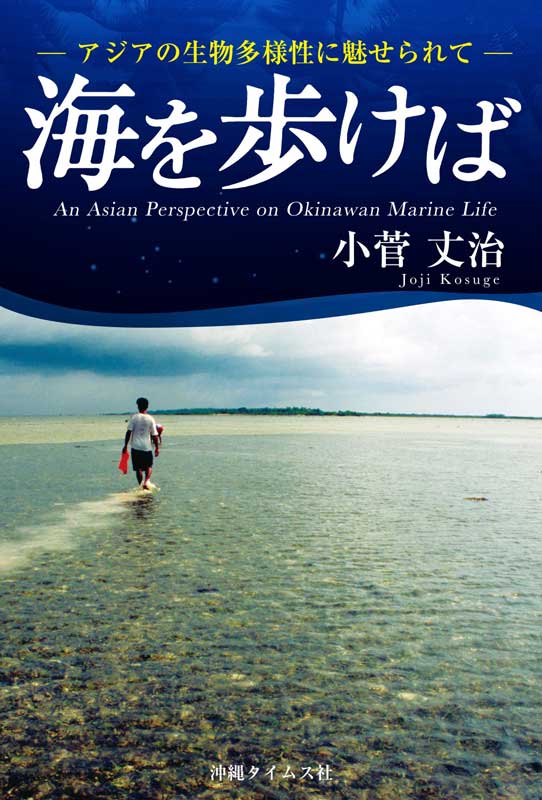 宮古 伊良部方言辞典(冨浜定吉著) | 沖縄タイムスの本