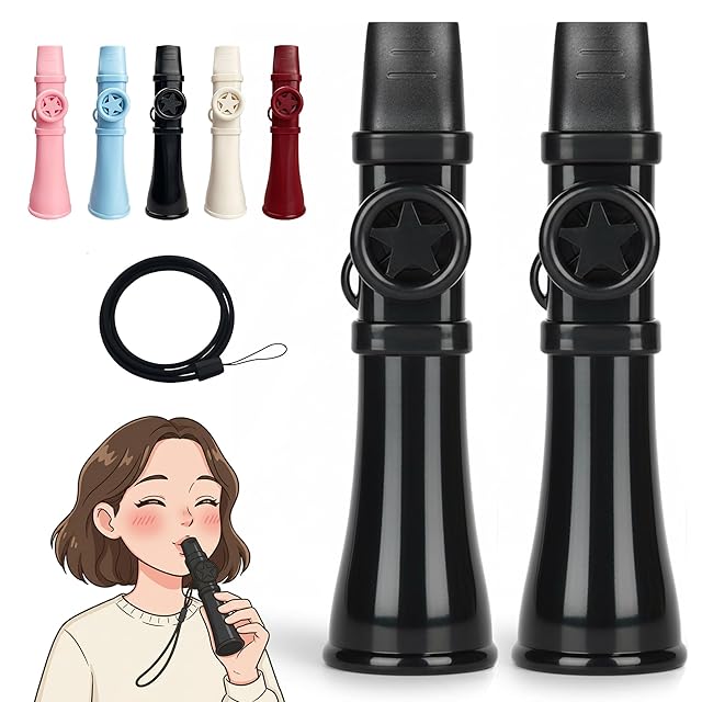 限定生産】ディスク45弁 縦置き型ディスクオルゴール | Pay ID