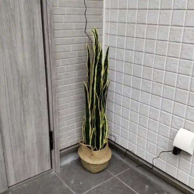 フェイクプラント 観葉植物 サンセベリア 人工植物 グリーン 癒し フェイクプラント 観葉植物 サンセベリア 人工植物 グリーン 癒し