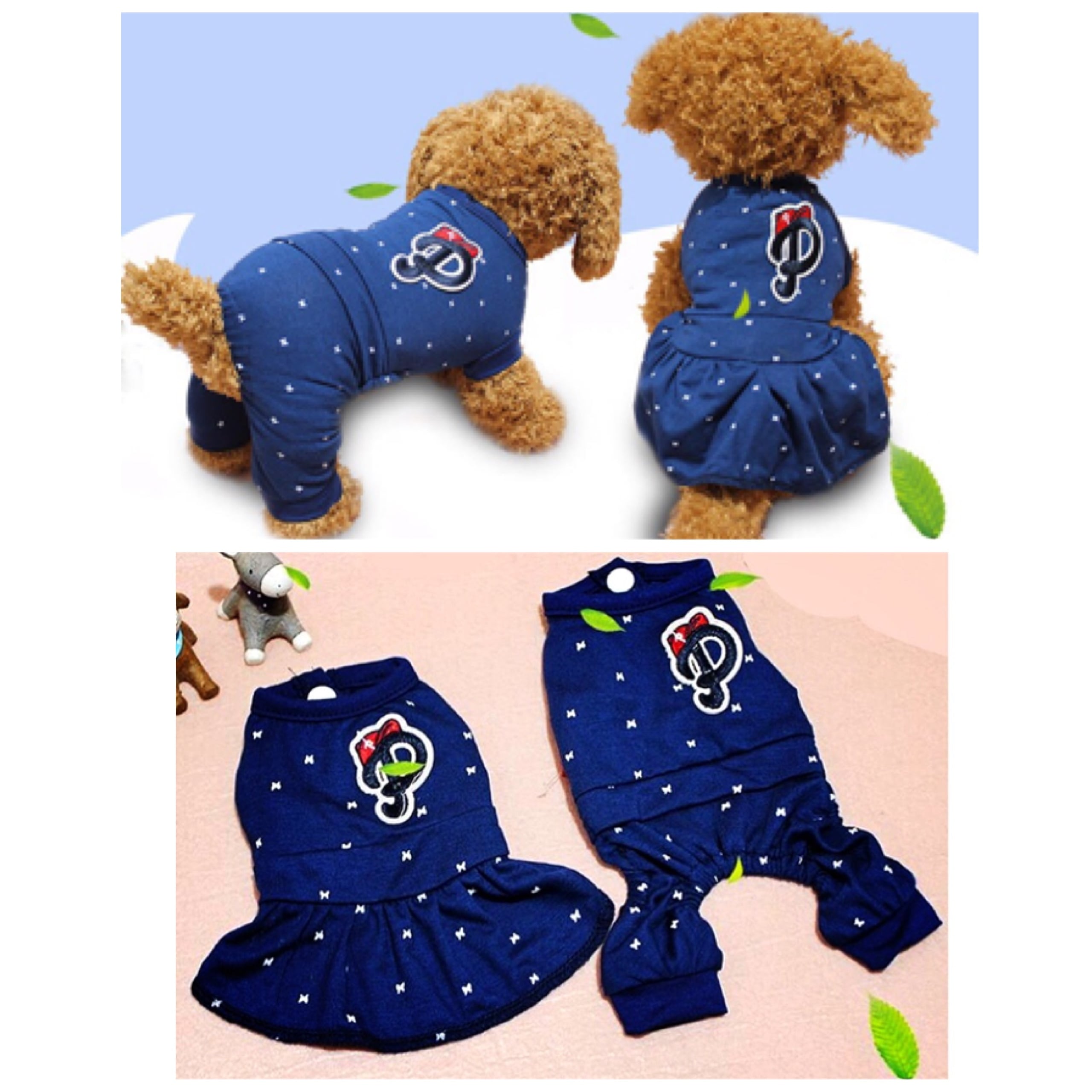 超小型犬・パピー犬 スモールサイズ | ronkichimaru(ロンキチマル