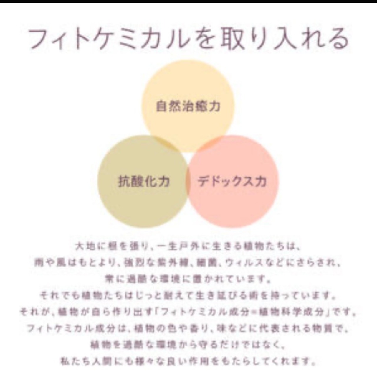 発酵ゆずビネガー