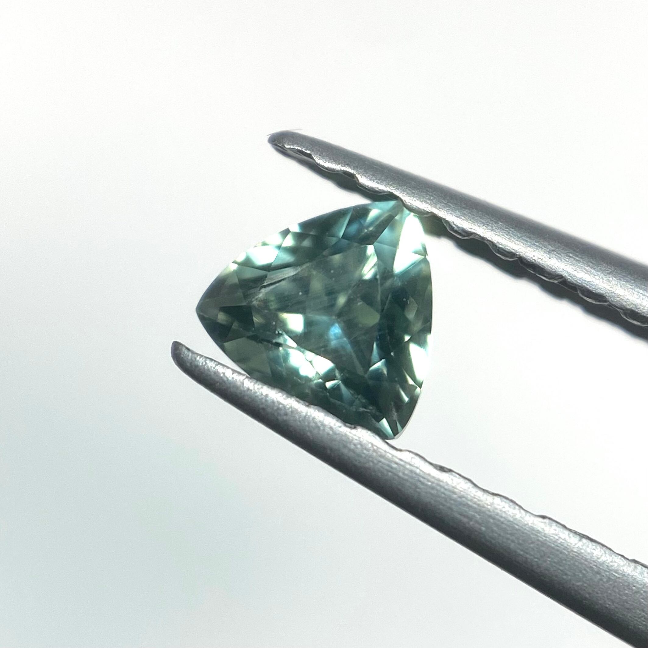 清流 モンタナサファイア