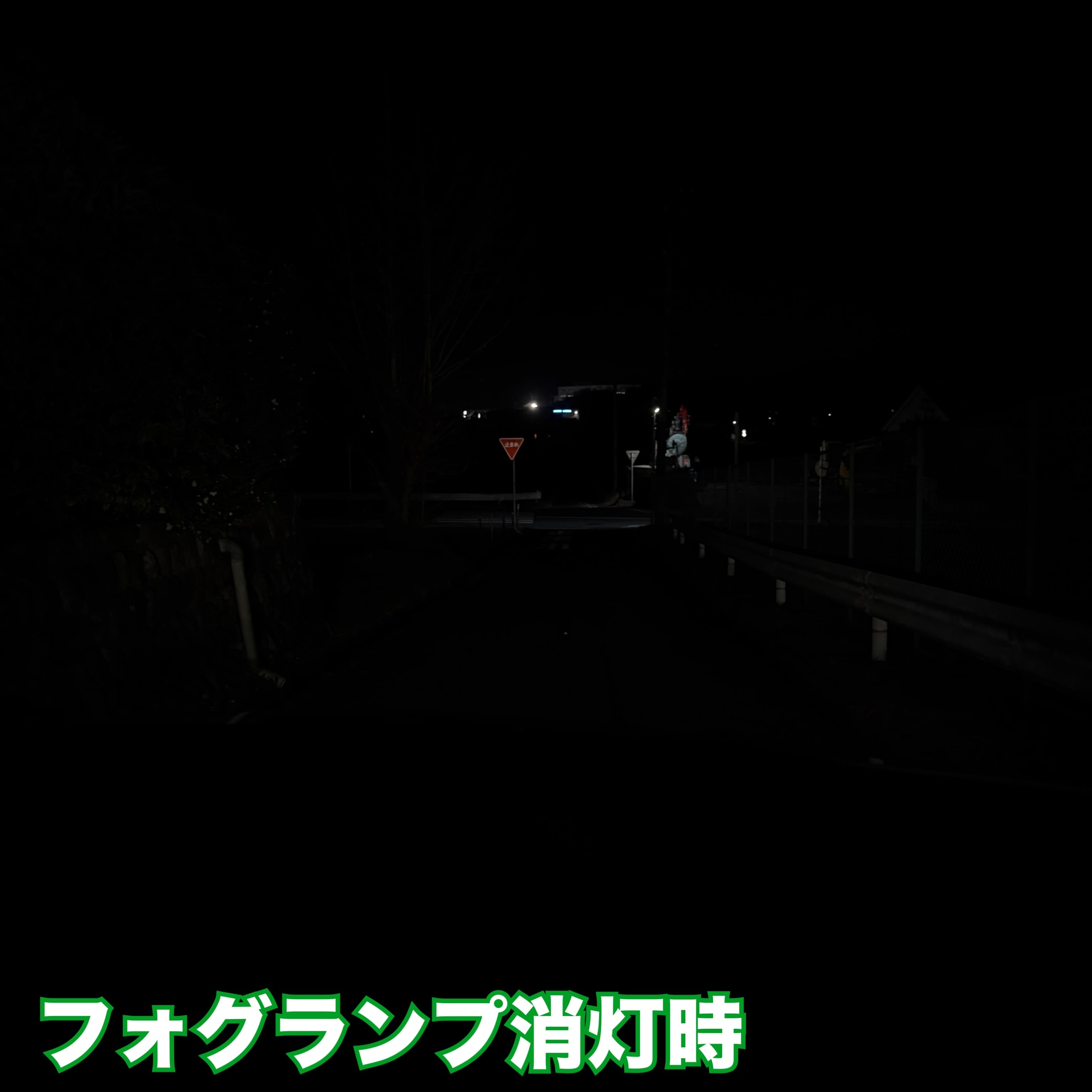 裂光シリーズ！超大型チップ搭載 L1B用 ライムイエロー フォグランプ