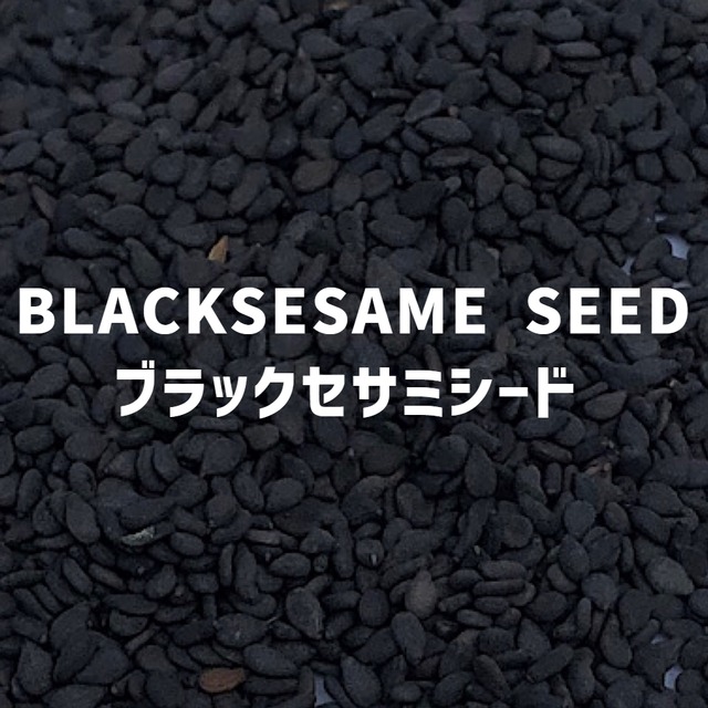 【100g】黒ごま ブラックセサミシード BLACKSESAME SEED Black sesame seed【シードタイプ 】【スパイス 香辛料 調味料 薬膳 料理 味付け 乾燥 ドライ】【nature ナチュール】