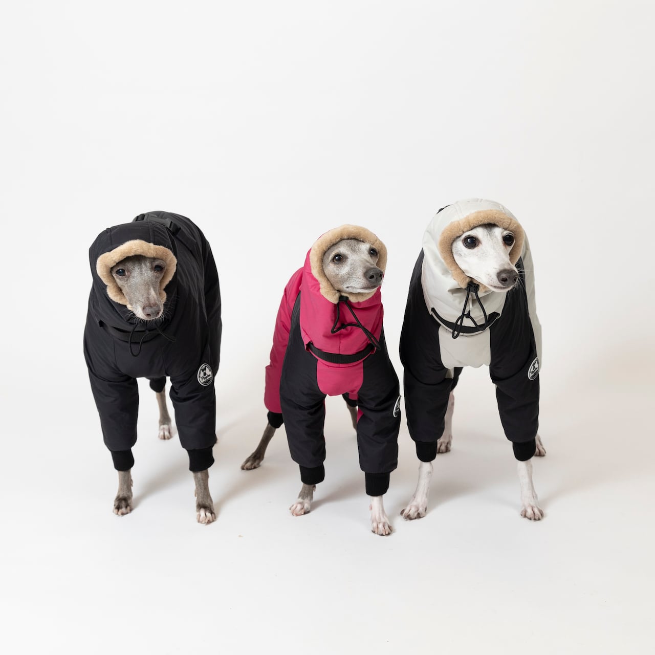 ボンバーヒートジャケット2024 light gray × black / イタグレ服