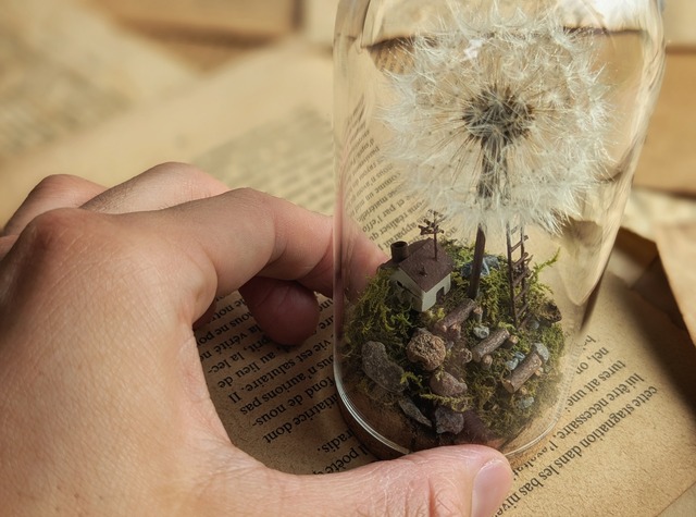 大きな綿毛と小さな家 大きな綿毛と小さな家