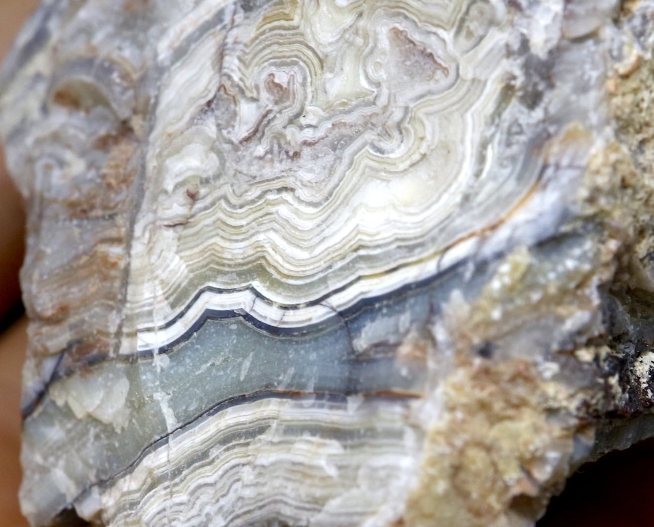 メキシコ クレイジーレースアゲート 原石 289g AG037 | 鉱物 天然石