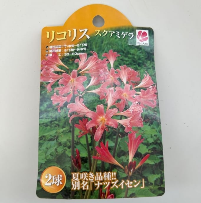 フラワーガーデン泉 オンラインショップ