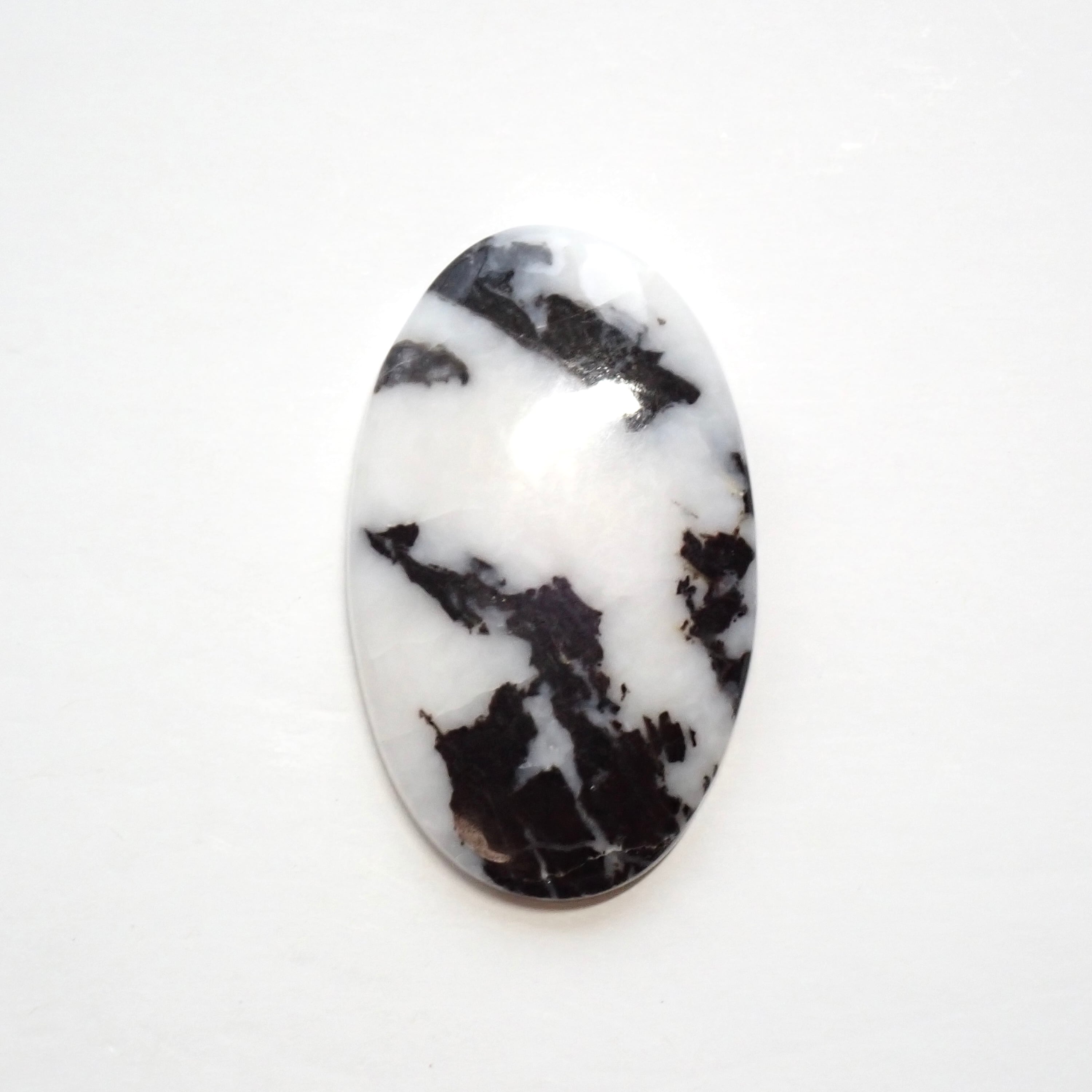 ゼブラジャスパー　05