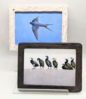 【野鳥生活】 「ちいさな複製画・大」C・D