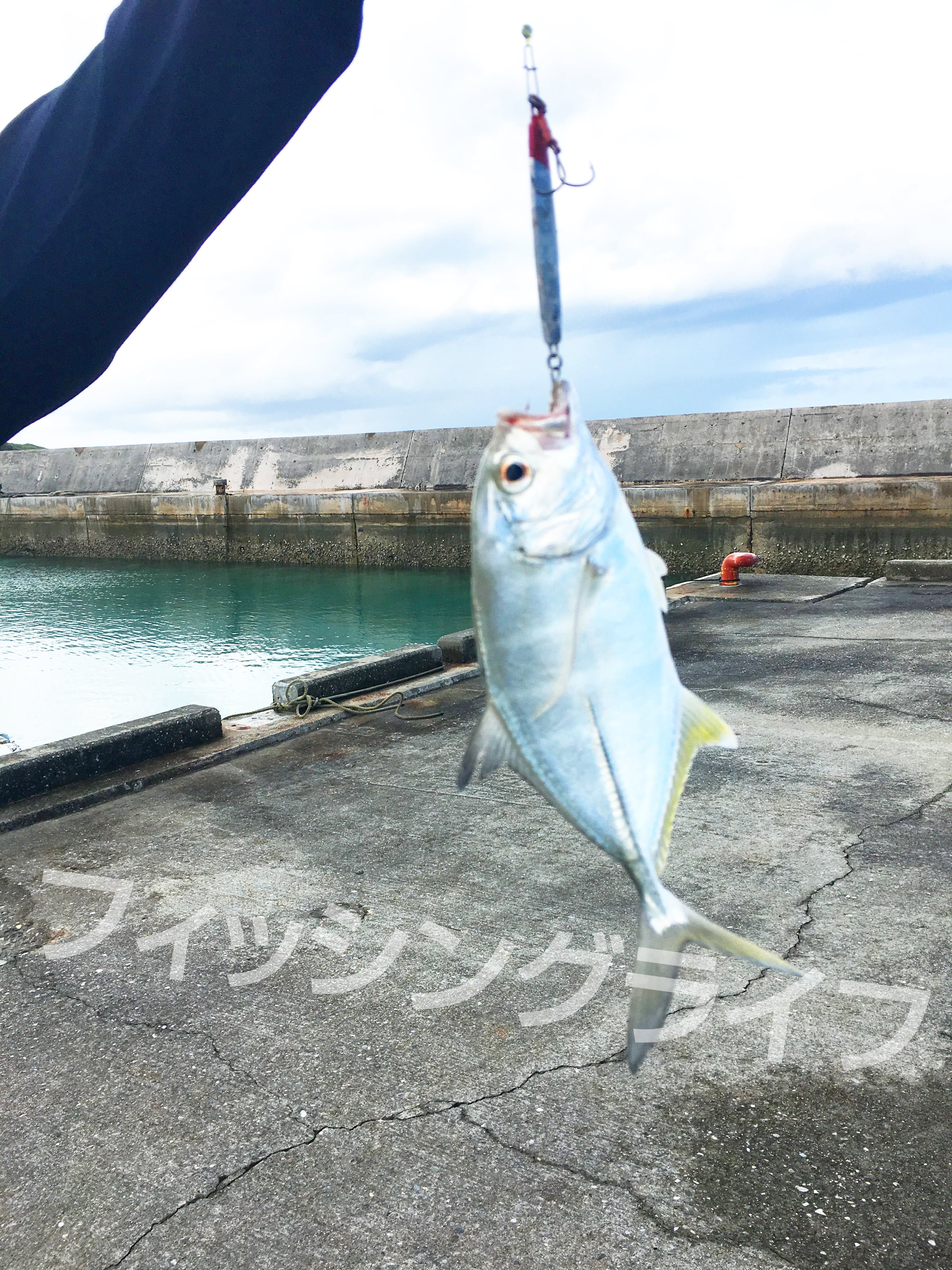 FINA 速掛 size6 FINA 速掛 size6 FINA 速掛 size6 Amazon | トリプルフック トレブル