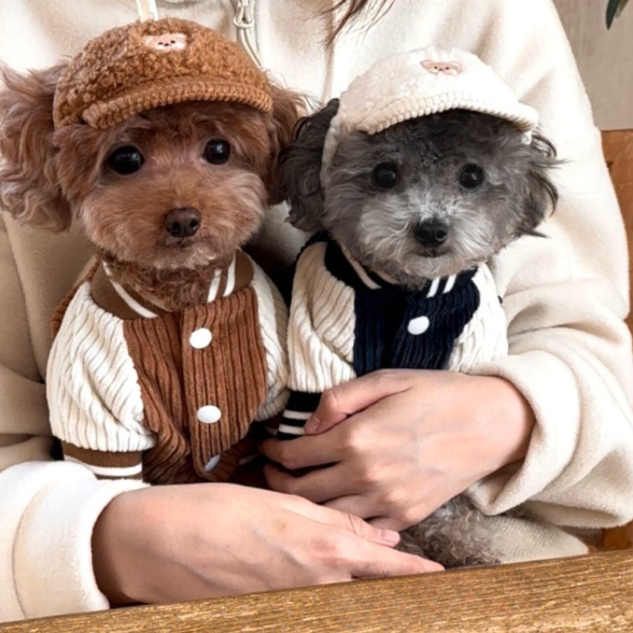 Dog スタジャン風 ニットウェア 2color Pet10