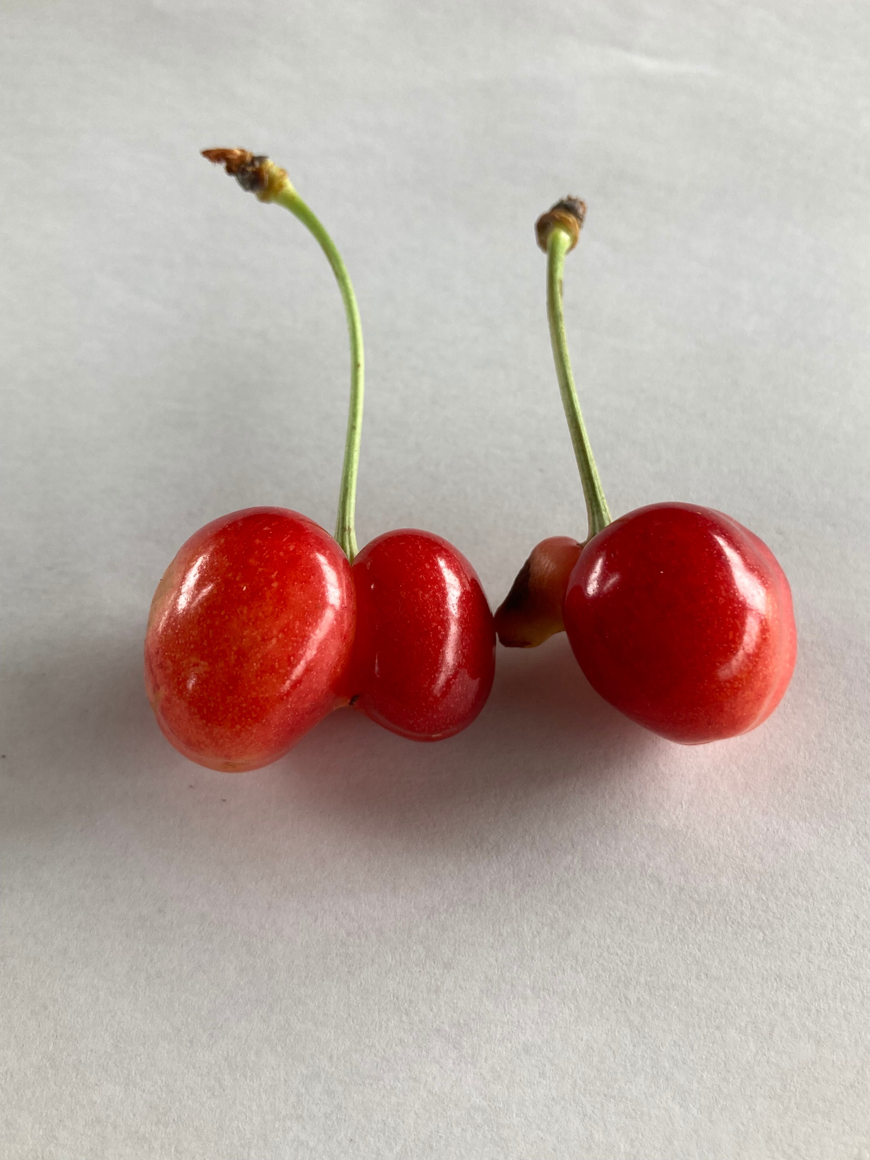 甘くて！大きい！訳あり「紅秀峰」バラ詰め1kg