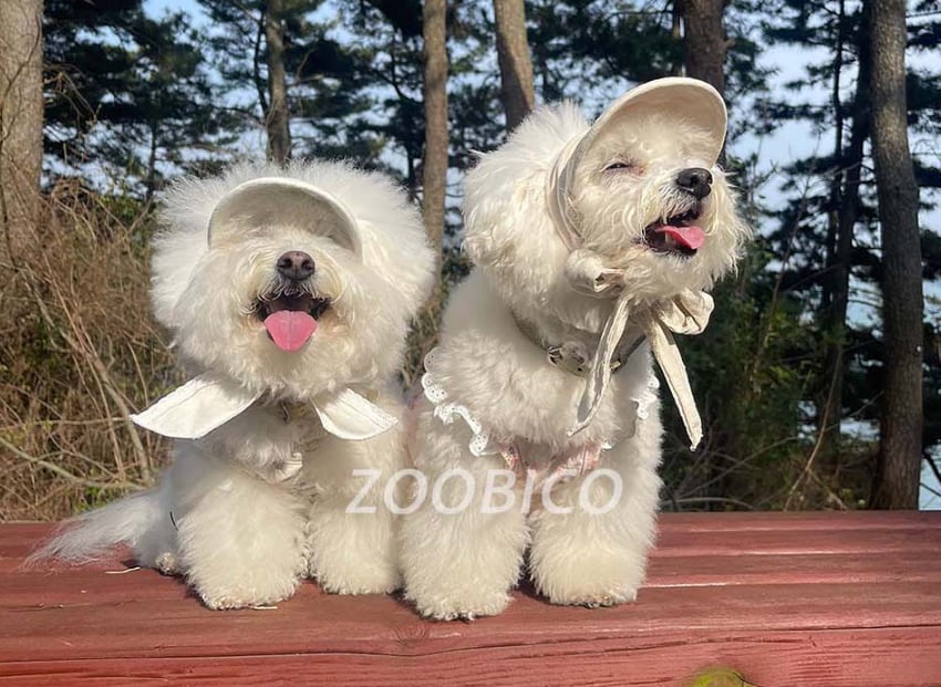 hellen bonnet hat 2color / 犬 麦わら帽子 ドッグウェア 小型犬 中型犬 犬帽子 犬の帽子 夏 サンバイザー 麦わらボンネット帽子 韓国 犬服 hat8
