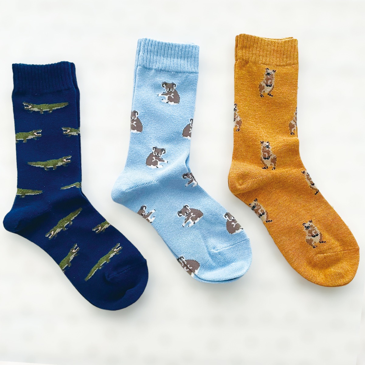 【miita】アニマルソックス オーストラリア わに/コアラ/ワラビー aruiteru 歩いてる Cozy Socks Shop