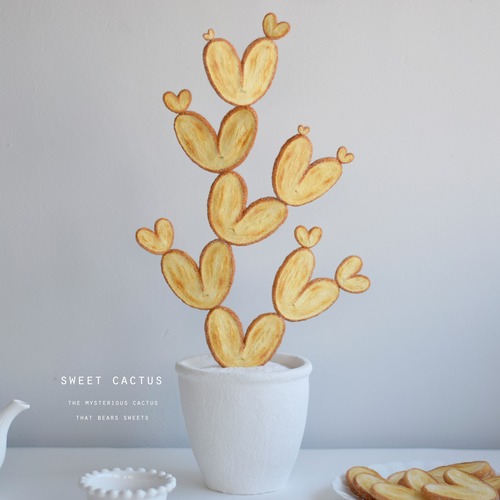 パイカクタス（a）