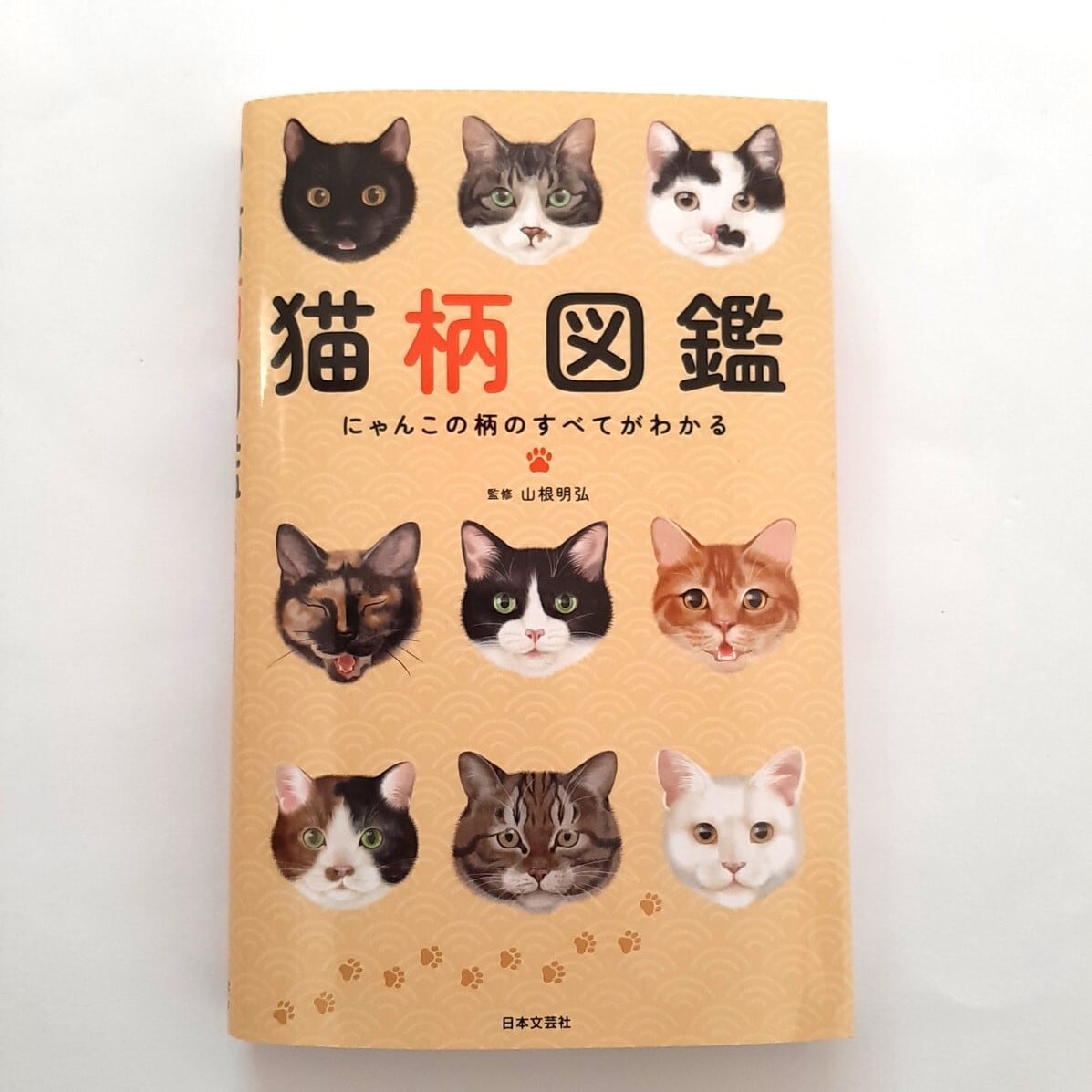 猫柄図鑑 | ねこのみち