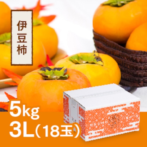 伊豆柿 3L 18玉（5ｋｇ）【2023年10月下旬頃より発送開始】