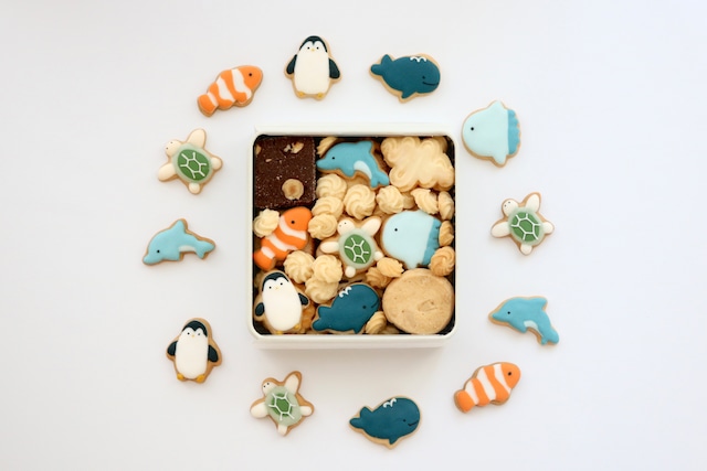 海の生き物たちのクッキー缶