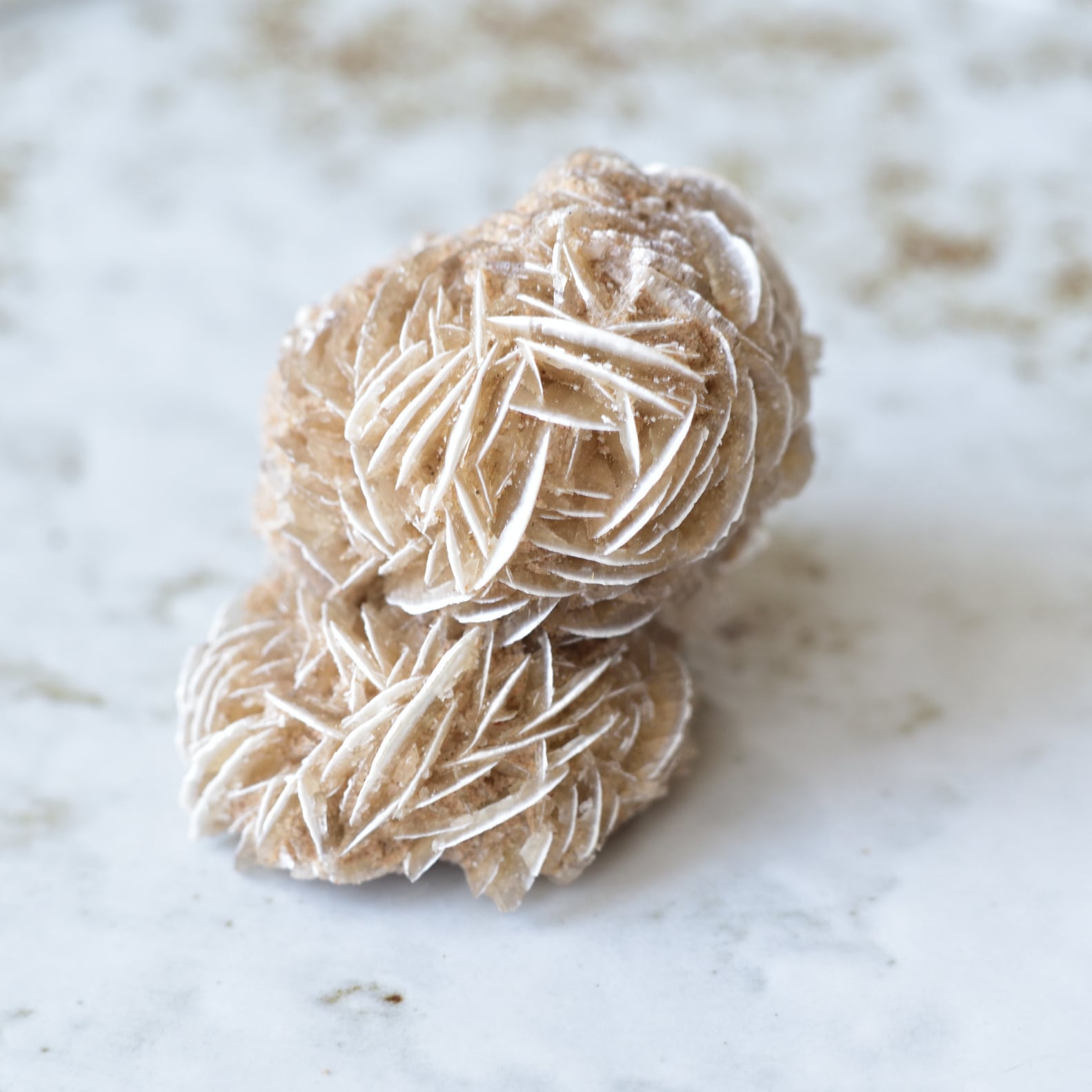 RE8292】500g＊砂漠に咲く薔薇＊砂漠の薔薇＊砂漠のばら＊デザート