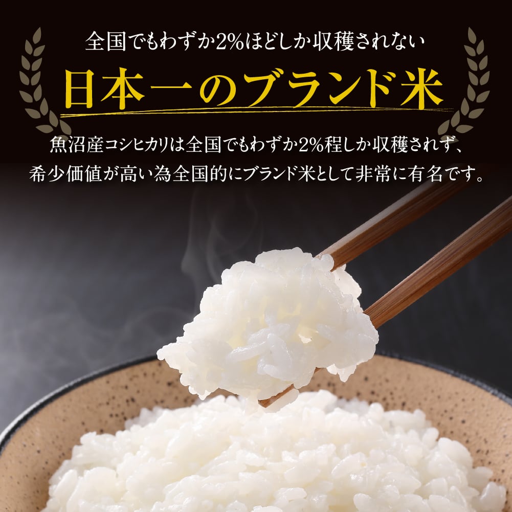 「日本を代表する米処」魚沼産こしひかり 5kg 精米済 【令和５年産】