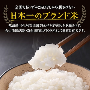 「日本を代表する米処」魚沼産こしひかり 5kg 精米済 【令和５年産】