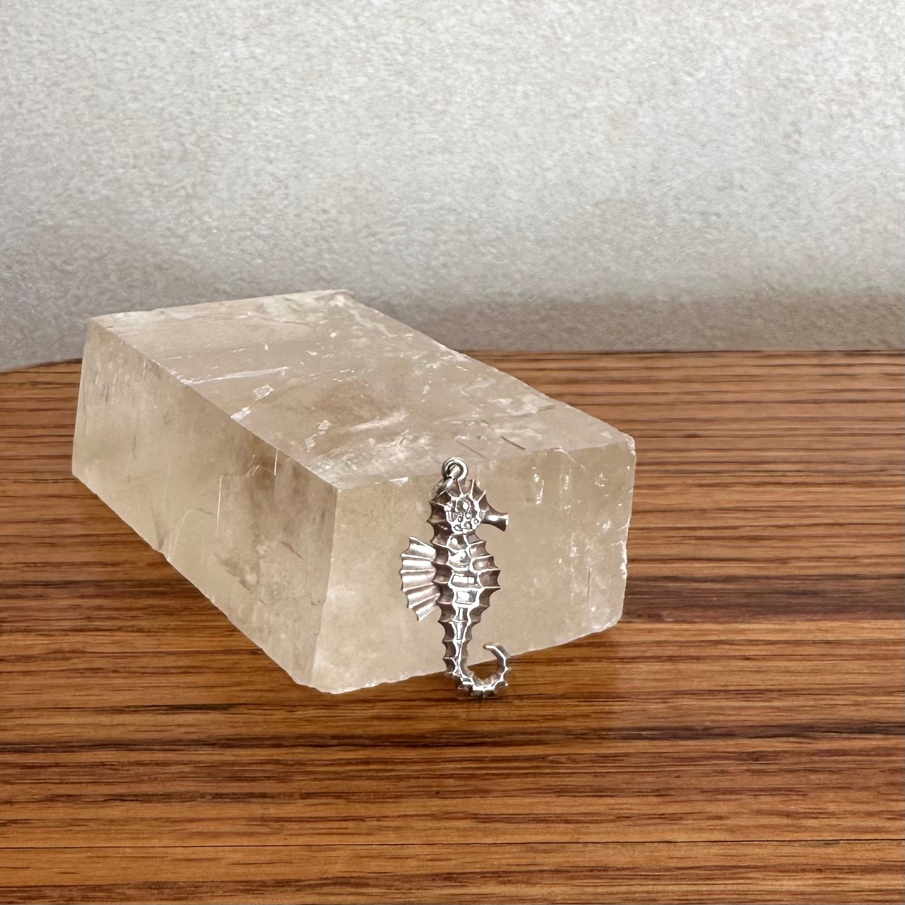 pendant top タツノオトシゴ | peartreemarket
