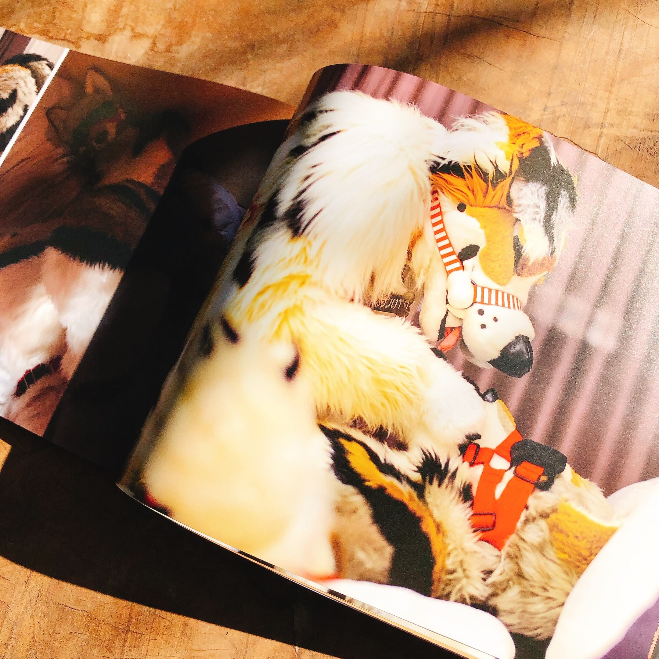 (A4版) I OWE YOU / YOU OWN ME