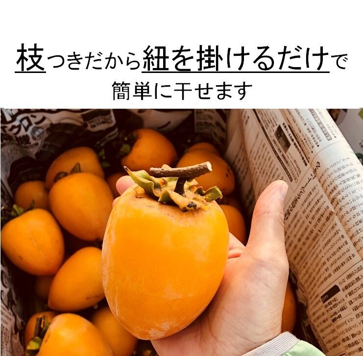 干し柿用愛宕柿 約10kg入り 11月下旬〜12月上旬 順次発送 | 輝らり果樹園