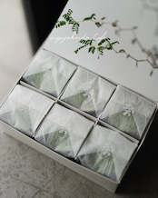 【期間限定】カップ抹茶テリーヌ６個入