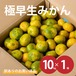 【極早生みかん】訳ありのお買い得品 10kg/1箱