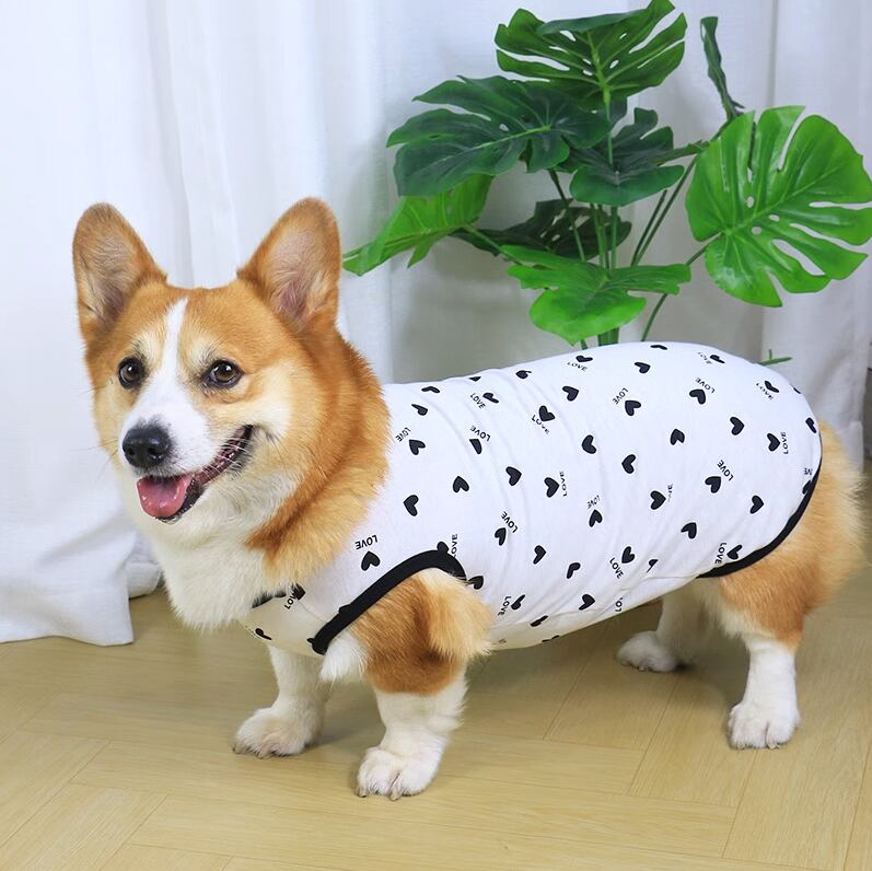 ドッグ 犬 小型犬 ドッグウェア 室内着 いちご ハート かわいい きれいめ シンプル カジュアル 上品 おしゃれ レトロ ラフ モダン 主役級 存在感 ラブリー キュート ベーシック シンプル ハート柄 春 夏 男の子 女の子 スクール デート お出かけ お泊まり リゾート 旅行 海 プール レストラン 公園 休日 レストラン ショッピング お花見 カフェ 朝 散歩 ウォーキング 室内 プチプラ 普段使い トレンド 流行 インスタ映え 定番 M L XL 2XL 3XL 4XL 黒 ブラック レッド