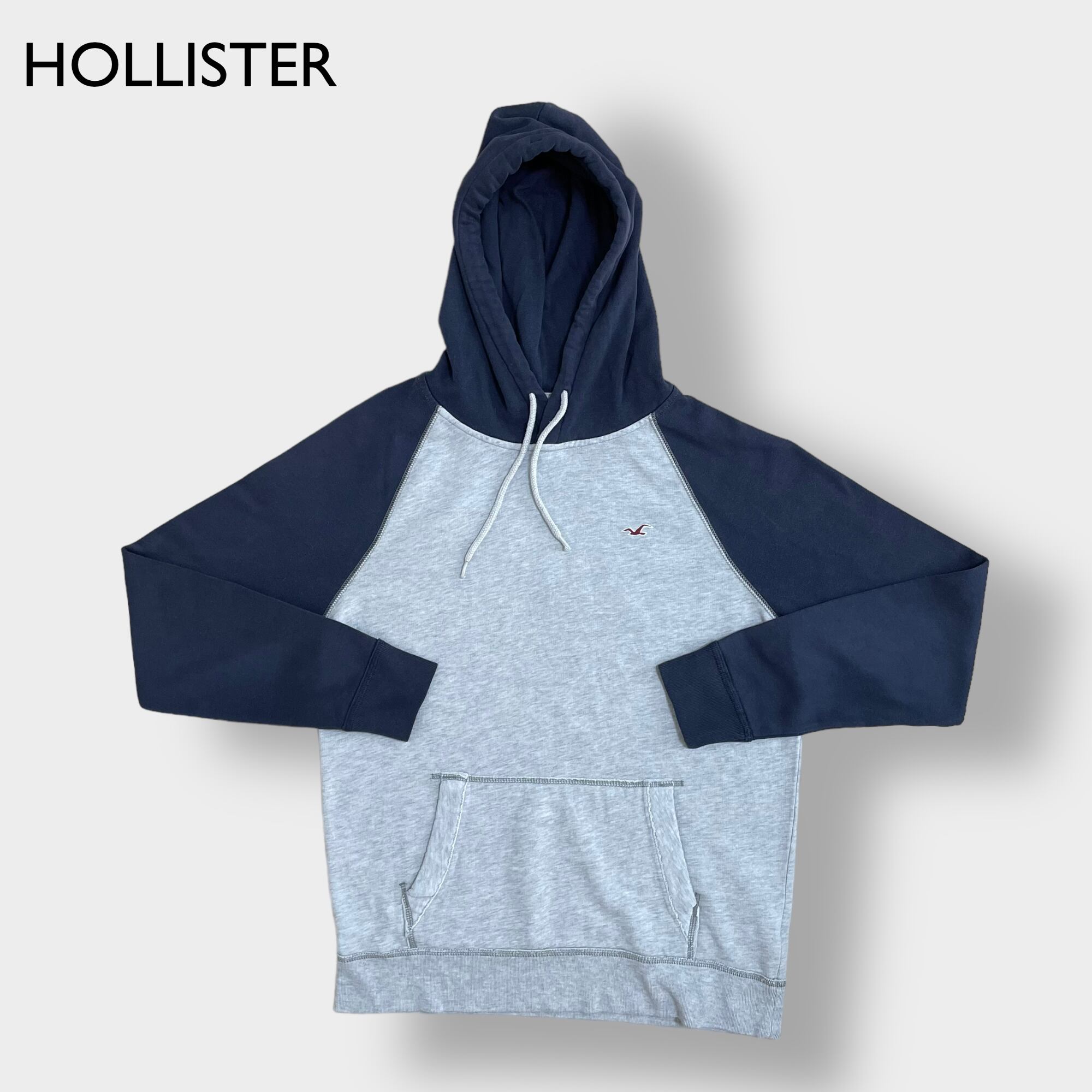 HOLLISTER(USA)ビンテージスウェットパーカ