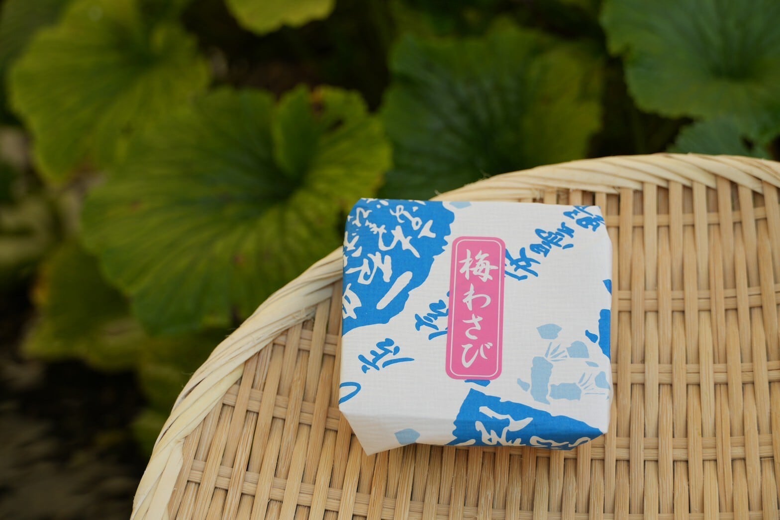 梅わさび【80g】 | 藤屋わさび店