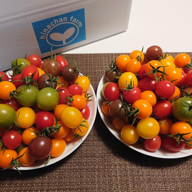 彩り華やか！カラフルミニトマト【2キロ・専用箱入り】