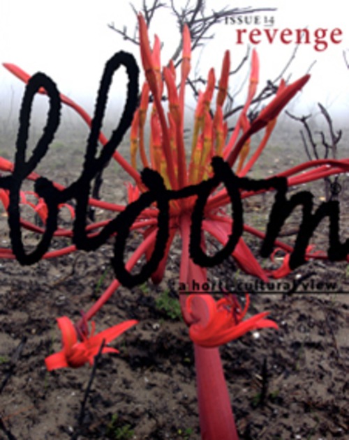 bloom ISSUE 14
