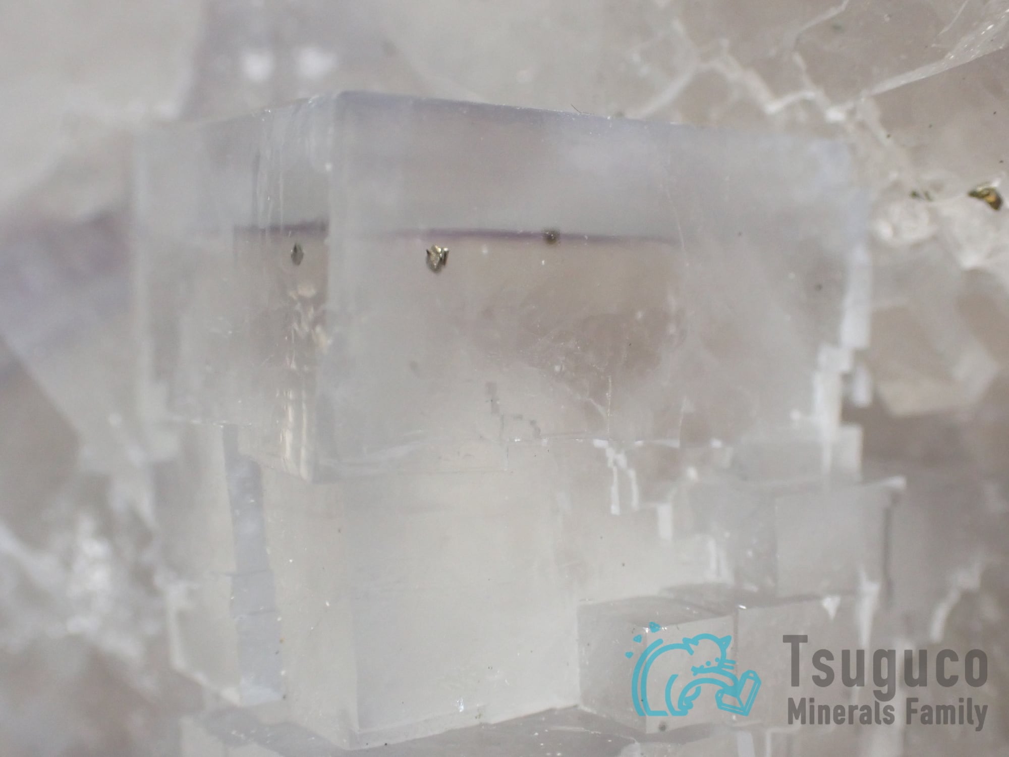 SALE※ ブルーベリル アクアマリン カリフォルニア産 343g 原石 AQ134