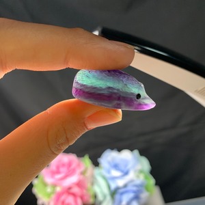 5ハリネズミフローライト