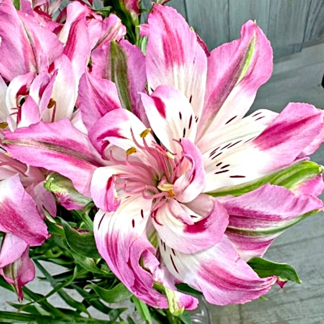 【kiki さま】* vintage flower ❀ * 淡いピンクの お花 kiki さま】* vintage flower ❀ * 淡いピンクの お花 kiki さま