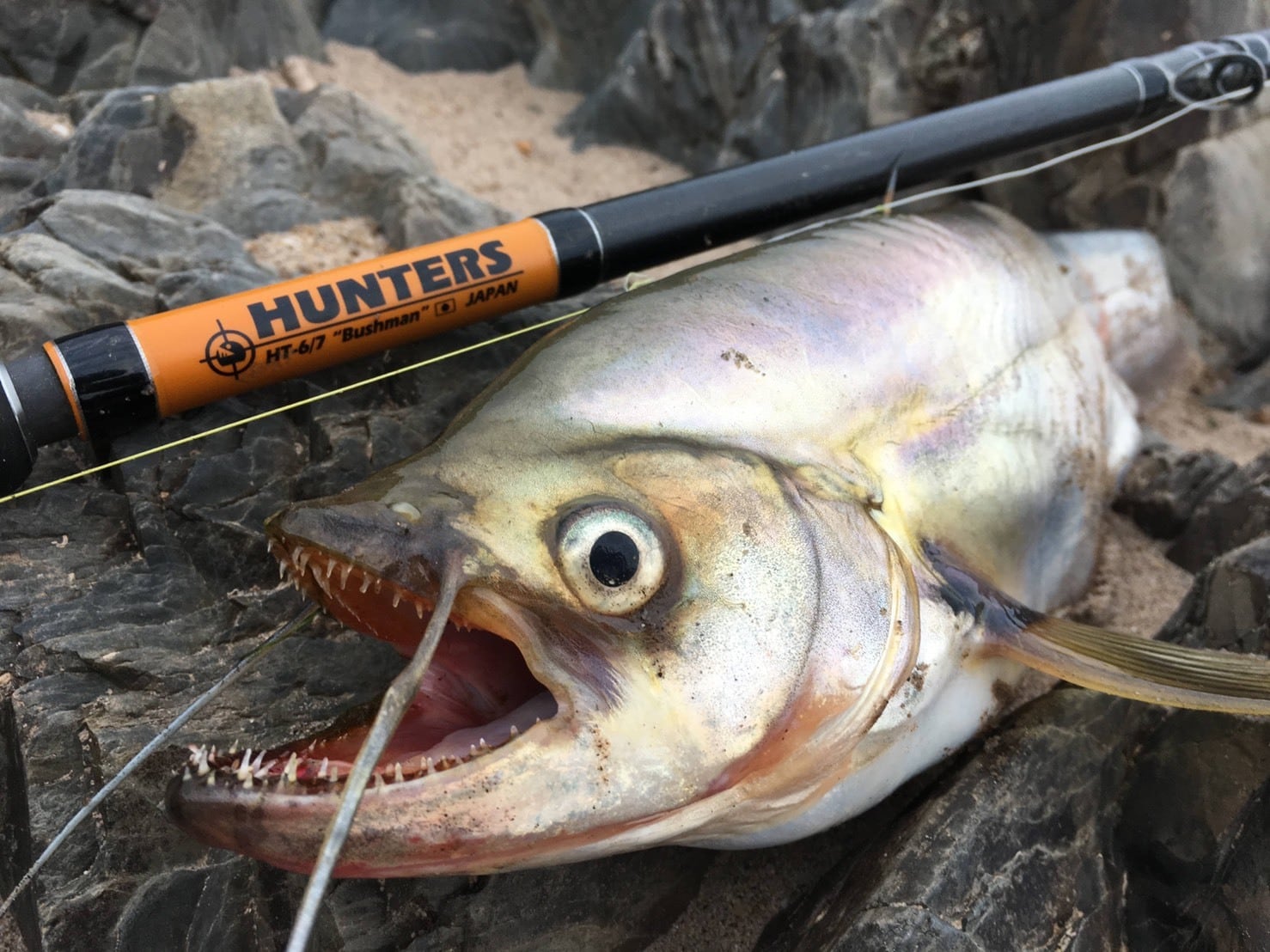 HUNTERS HT-6/7 | Monster BASE