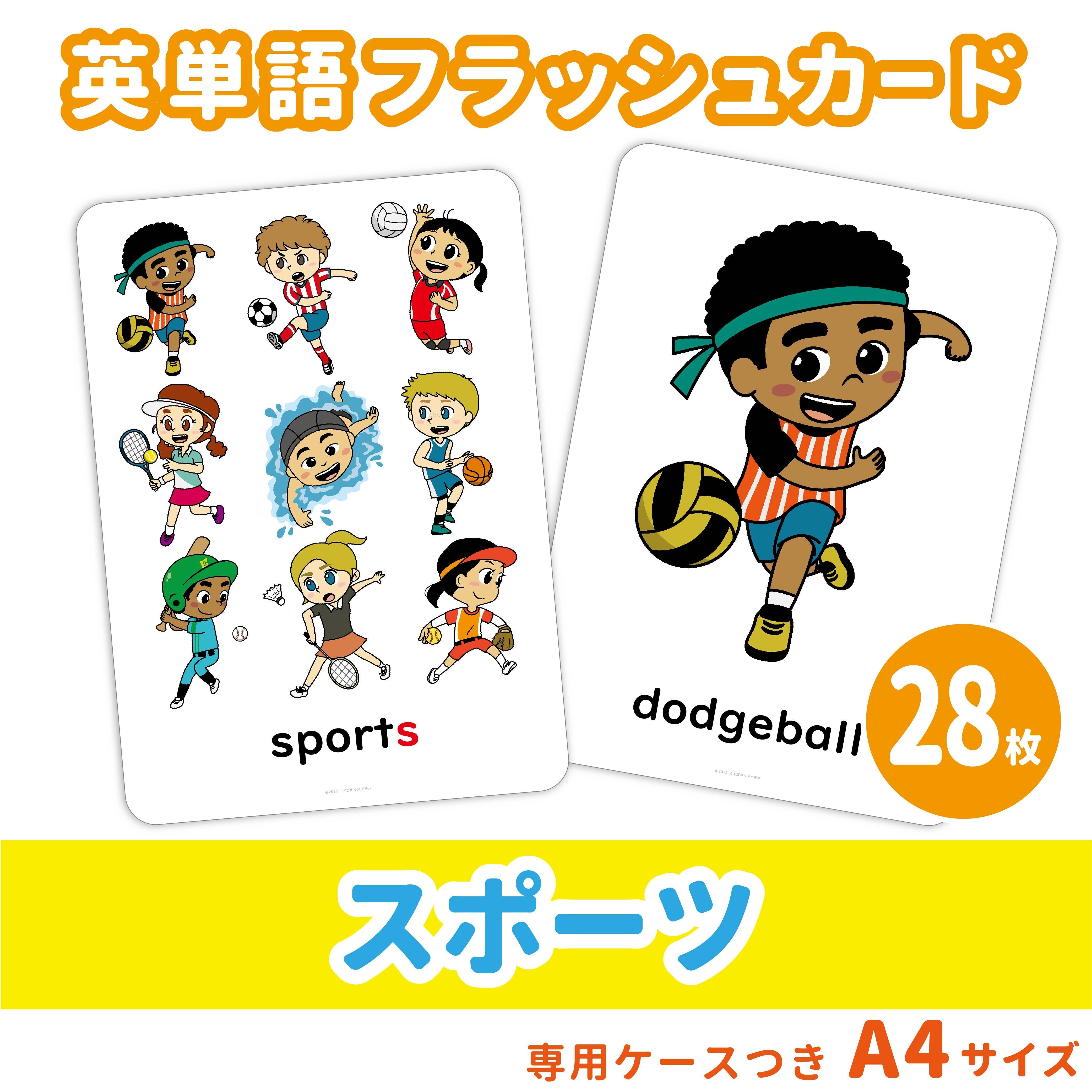 英単語フラッシュカード】スポーツの英単語セット／A4サイズ／28枚
