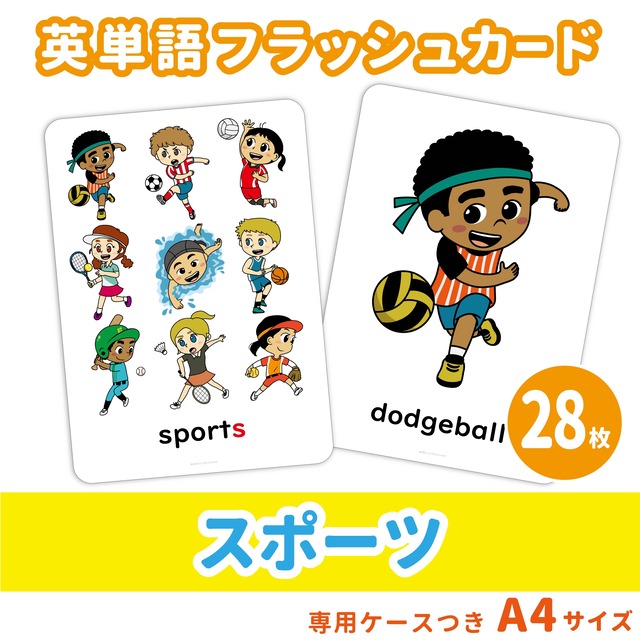 【英単語フラッシュカード】スポーツの英単語セット／A4サイズ／28枚
