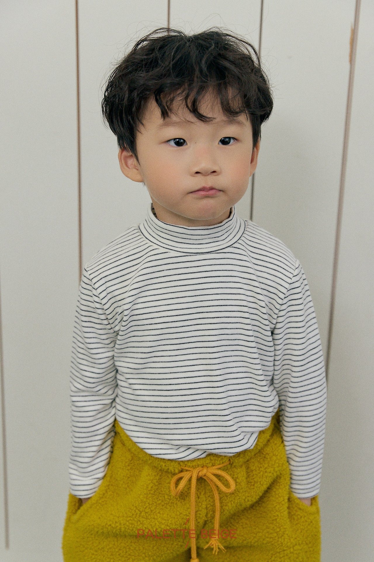 the beige［取寄］stripe slim turtle neck tee 26winter
