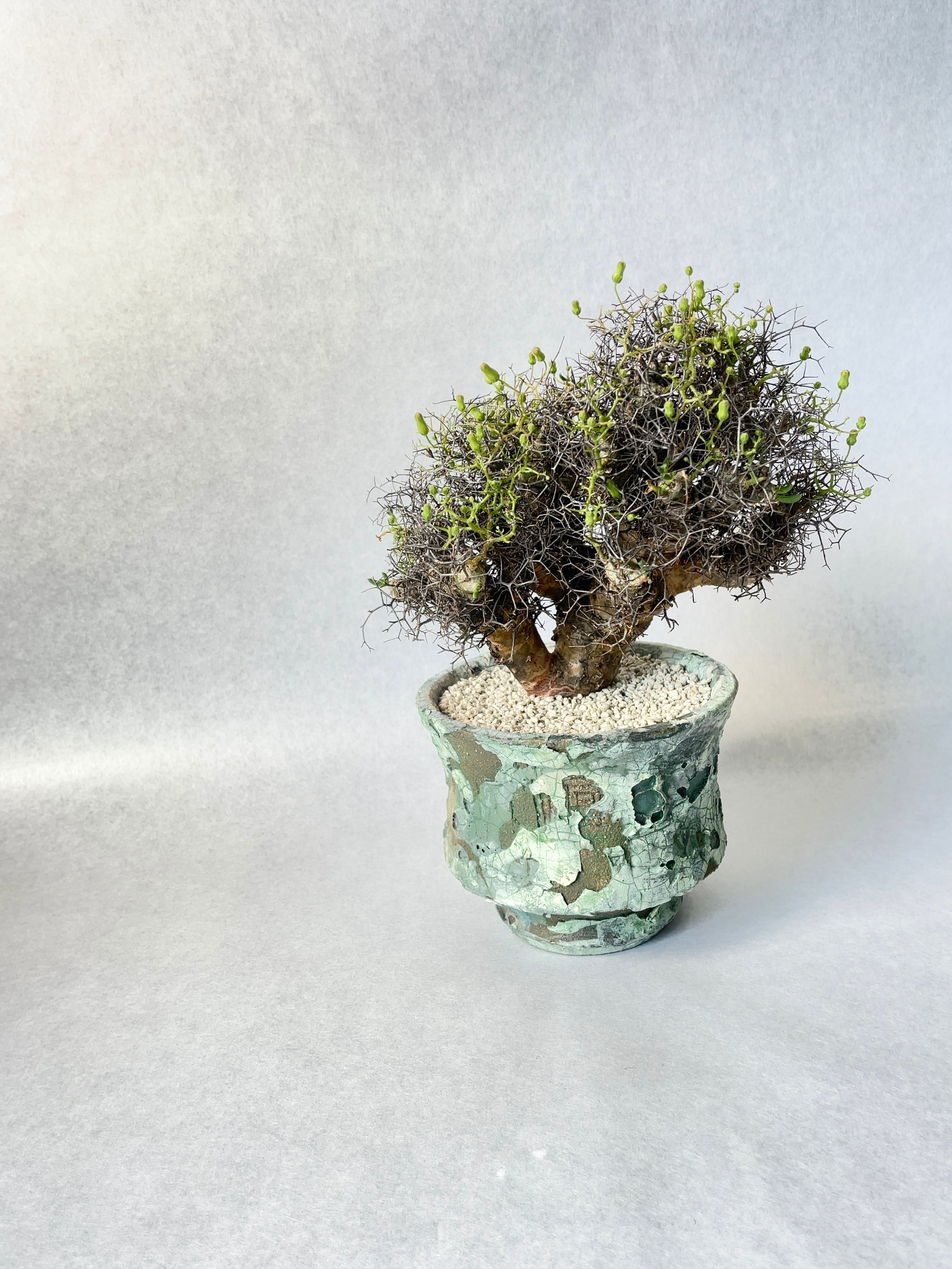 fbf8b2e9017c9a478dd883d388e5e1