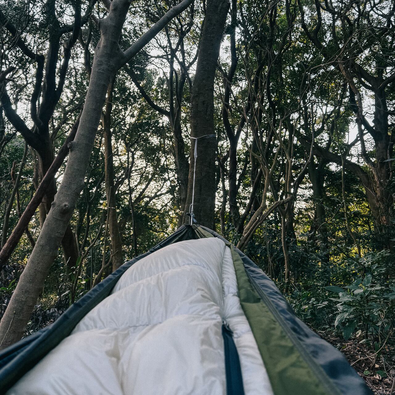 eno / SuperSub Ultralight Hammock ハンモック 軽量 | mujina shouten