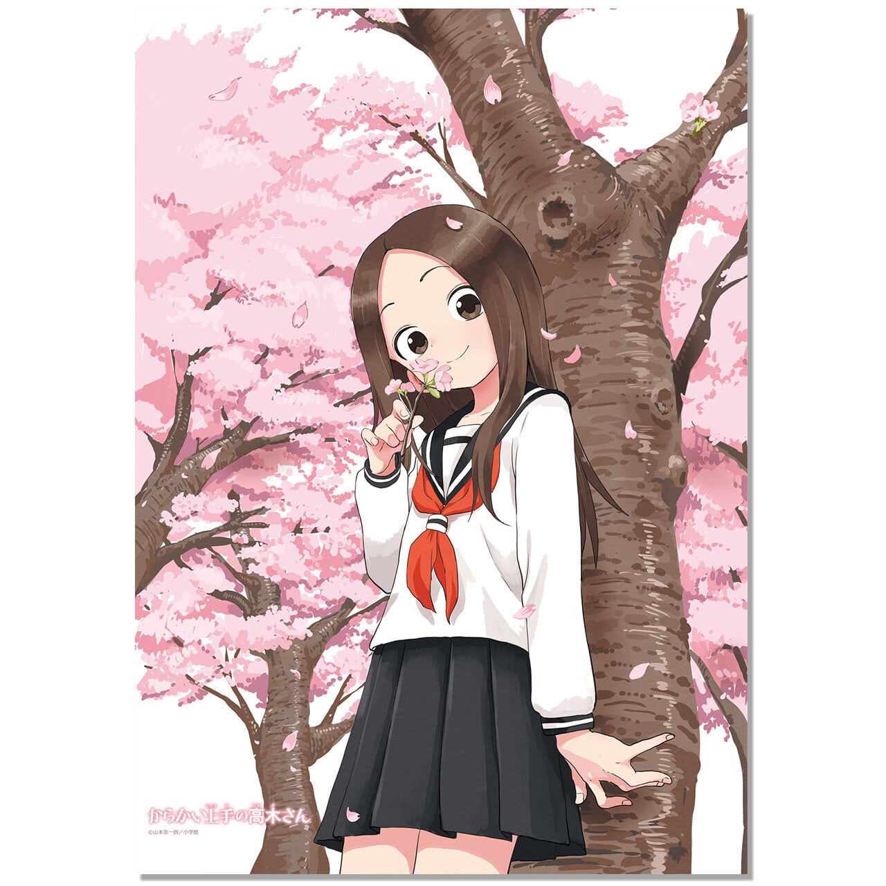 4570077756934在】からかい上手の高木さん（原作） B2タペストリー（桜  