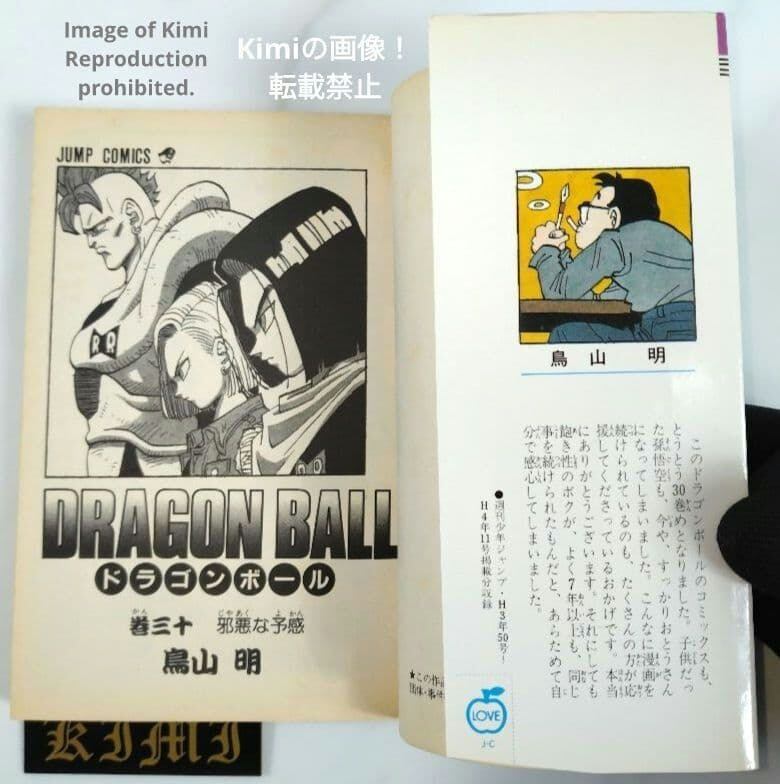 DRAGON BALL 30 コミック 本 1992 初版 第1刷発行 ジャンプ DRAGON BALL 30 コミック 本 1992 初版 第1刷発行 ジャンプコミックス