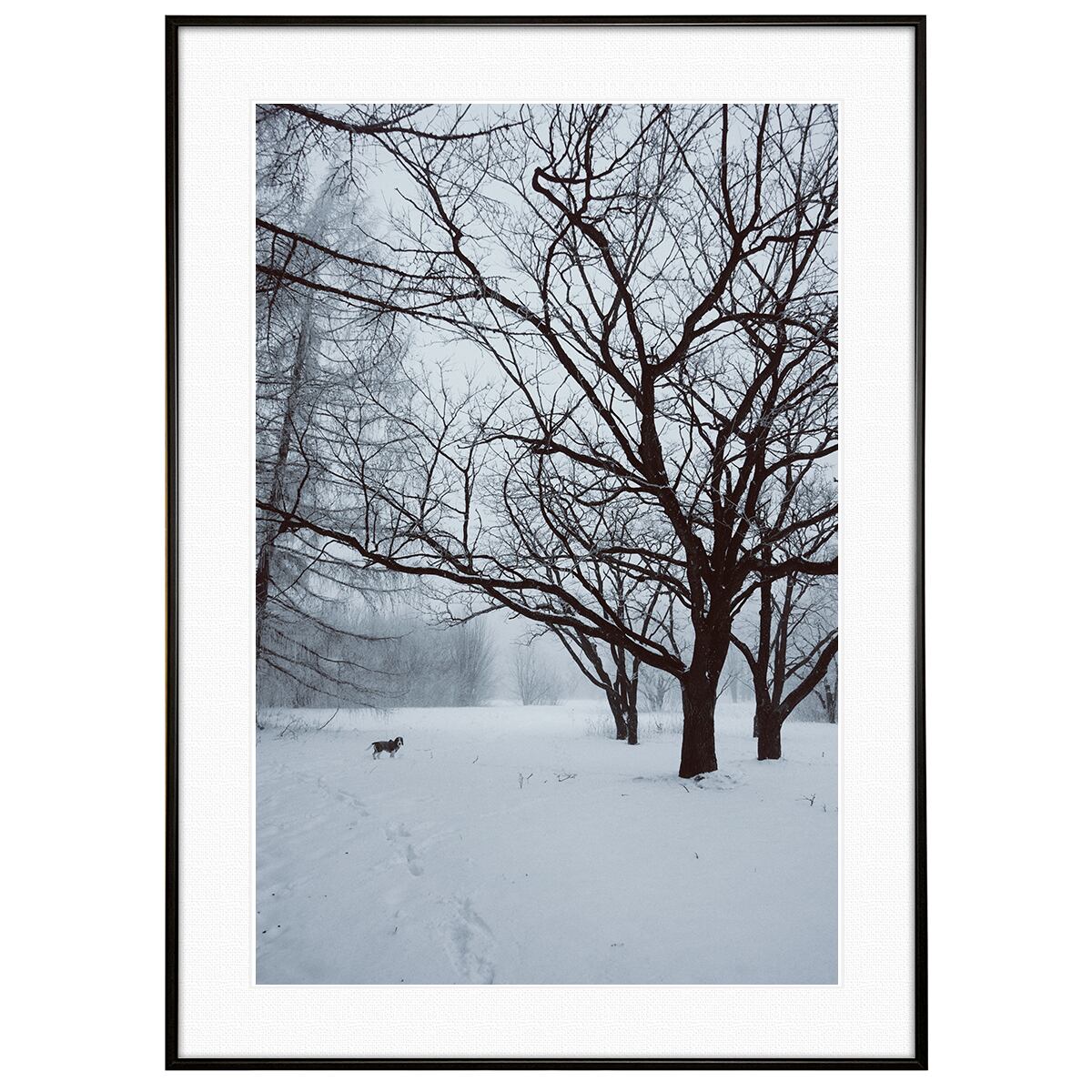 冬写真 犬と森の雪景色インテリアアートポスター額装 AS1099
